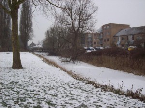 sneeuw 2012 2 blog