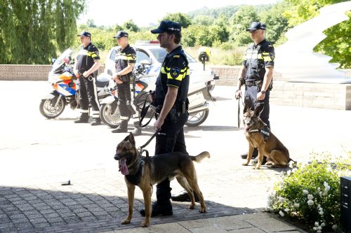 politie groep honden 13